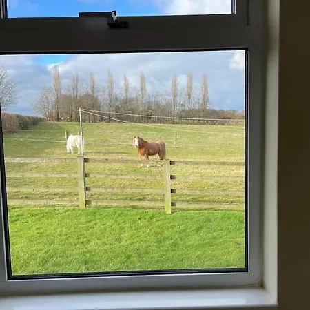 Little Harries - Surrounded By Open Fields * Ripon